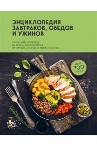 Энциклопедия завтраков, обедов и ужинов ЭКСМО 915-6
