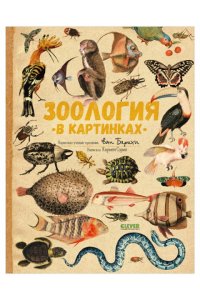 Сория Кармен Удивительные энциклопедии. Зоология в картинках 8362
