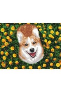 РОСПИСЬ ПО НОМЕРАМ 40*30 