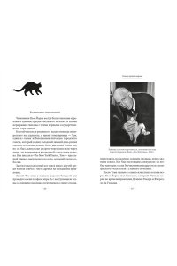 Диаз-Мигель А., Педраза Э. Кошки правят миром (с илл.)