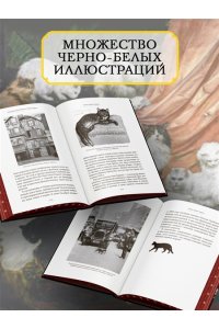 Диаз-Мигель А., Педраза Э. Кошки правят миром (с илл.)