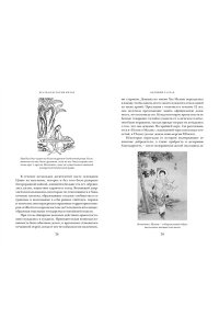 Джейвин Л. Краткая история Китая