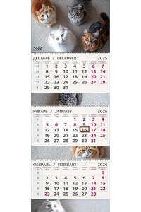 К-РЬ НАСТ 2026 КВАРТ КТО? А4 СПИРАЛЬ ТРЕХБЛОЧН АРТ ДИЗАЙН 0607 270