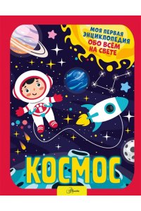 Хомич Е.О. Космос