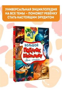 Ликсо В.В., Тараканова М.В., Хомич Е.О. и др. Большой подарок школьнику