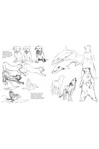 Дзяловски Ж. Рисунок. Простые уроки для начинающих