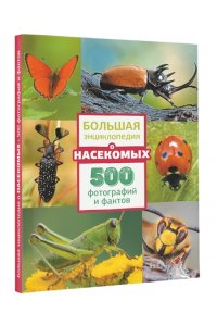 . Большая энциклопедия о насекомых. 500 фотографий и фактов