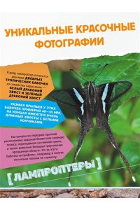 . Большая энциклопедия о насекомых. 500 фотографий и фактов