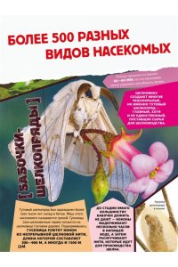 . Большая энциклопедия о насекомых. 500 фотографий и фактов