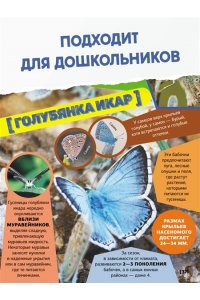 . Большая энциклопедия о насекомых. 500 фотографий и фактов