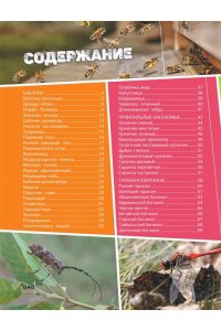 . Большая энциклопедия о насекомых. 500 фотографий и фактов