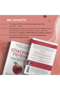 Спасение печени: как помочь главному фильтру организма и защитить себя от болезней