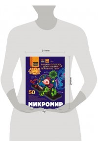 Спектор А.А. Микромир