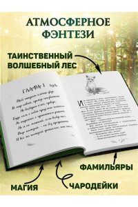 Больманн С. Магия четырех стихий. Девочка по имени Ива (#1) (кинообложка)