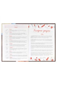 КНИГА Д/ЗАП КУЛИН РЕЦ ФЕНИКС+ 96Л А5 ПИКНИК АРТ.59739