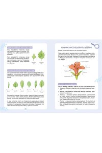 Куплан Ф., Каплан Р. Растения вокруг нас