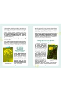 Куплан Ф., Каплан Р. Растения вокруг нас