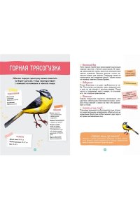 Лучези М. Птицы