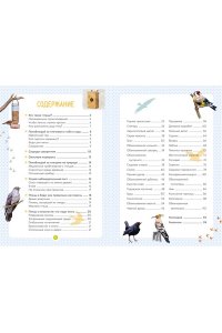 Лучези М. Птицы