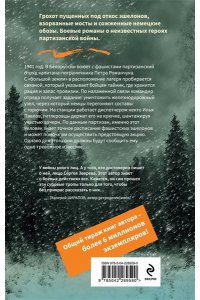 Зверев С.И. Огненные рельсы