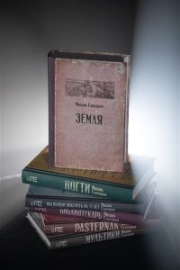 Елизаров М.Ю. Земля