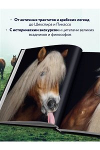 Петрони Ф. Лошади. Портреты, вдохновленные Рембрандтом. Эксклюзивный фотоальбом