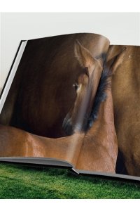Петрони Ф. Лошади. Портреты, вдохновленные Рембрандтом. Эксклюзивный фотоальбом
