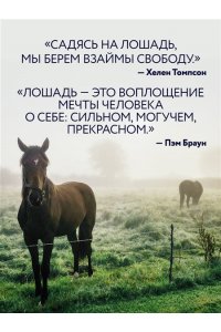 Петрони Ф. Лошади. Портреты, вдохновленные Рембрандтом. Эксклюзивный фотоальбом