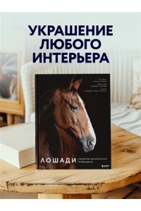 Петрони Ф. Лошади. Портреты, вдохновленные Рембрандтом. Эксклюзивный фотоальбом