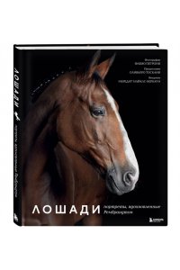 Петрони Ф. Лошади. Портреты, вдохновленные Рембрандтом. Эксклюзивный фотоальбом