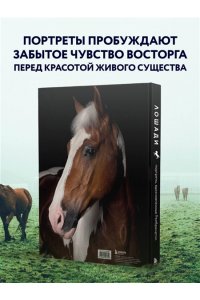 Петрони Ф. Лошади. Портреты, вдохновленные Рембрандтом. Эксклюзивный фотоальбом