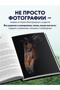 Петрони Ф. Лошади. Портреты, вдохновленные Рембрандтом. Эксклюзивный фотоальбом