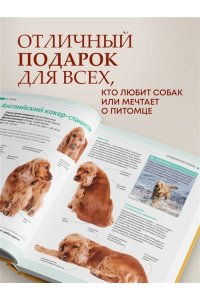 Шкляев А.Н. Собаки Подарочная иллюстрированная энциклопедия