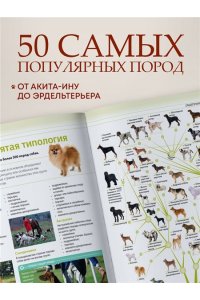 Шкляев А.Н. Собаки Подарочная иллюстрированная энциклопедия