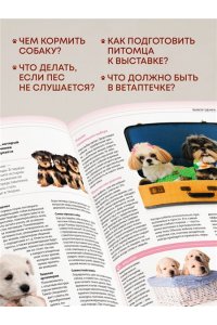Шкляев А.Н. Собаки Подарочная иллюстрированная энциклопедия