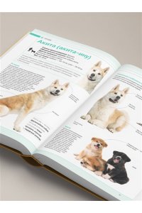 Шкляев А.Н. Собаки Подарочная иллюстрированная энциклопедия