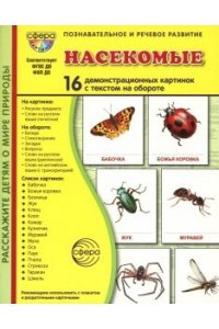 Цветкова Т.В. Дем. картинки СУПЕР Насекомые В ПАПКЕ. 16 демонстрационных картинок с текстом (173х220 мм)