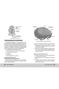 Казанская Ж. ЕГЭ. Биология