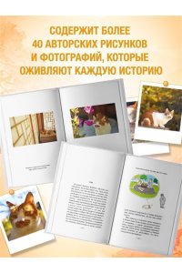 Погён Однажды ко мне пришел кот