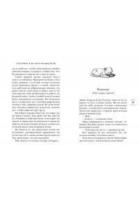 Микаил Н. Выходя из дома, не забудьте кота