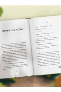 На Х. Черный кот предлагает сделку. Роман-лауреат корейской литературной премии Чангби