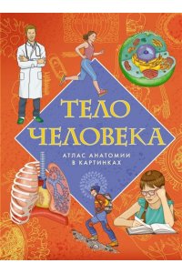 Барсотти Э. Тело человека. Атлас анатомии в картинках