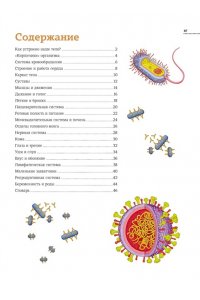 Барсотти Э. Тело человека. Атлас анатомии в картинках