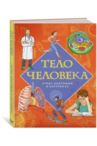 Барсотти Э. Тело человека. Атлас анатомии в картинках