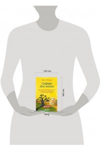 Стрелеки Д. Сафари для жизни. Как сделать мечты реальностью и никогда не переживать о потраченном времени