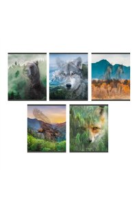 ТЕТР 96 ЛИН ЭКСМО ГЛЯНЦ ЛАМИН WILD LIFE В АСС ТЛ968389