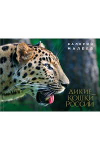 Малеев В.Г. Дикие кошки России иллюстрированный авторский фотоальбом