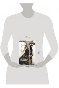 Бронте Э. Грозовой перевал