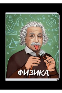 ТЕТР ПРЕДМЕТ ПОРТРЕТ ФИЗИКА 48 КЛЕТ FB347 (8665)