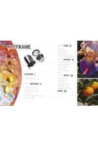 Шимшилашвили А. Живопись маслом от А до Я. Портрет маслом (испр. и доп. изд.)